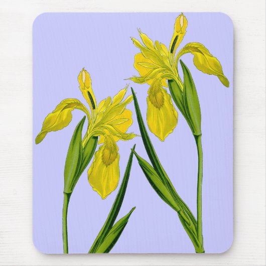 Yellow Flag Iris Twins Mousepad (Vorne)