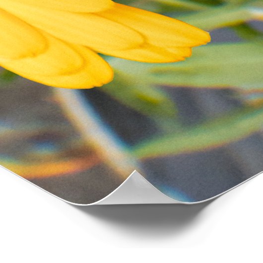 Yellow Floral Poster (Ecke)