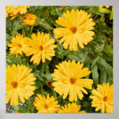 Yellow Floral Poster (Vorne)