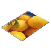 Yellow Florida Lemons Notizblock (Linke Seite)