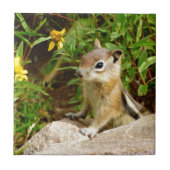 Yellow Flowers Chipmunk Fliese (Vorderseite)