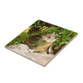 Yellow Flowers Chipmunk Fliese (Seite)