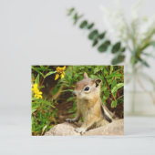 Yellow Flowers Chipmunk Postkarte (Stehend Vorderseite)
