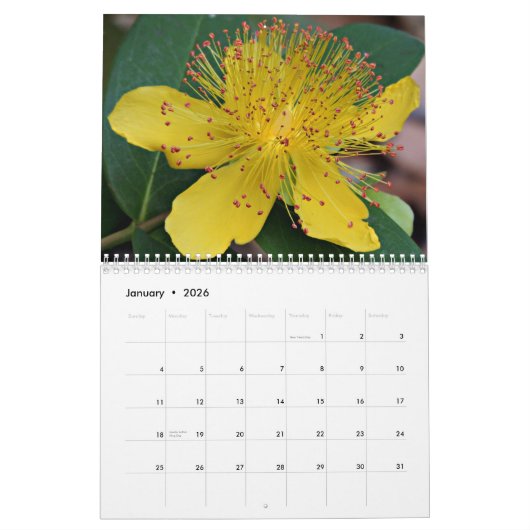 Yellow Flowers Kalender (Jan 2026)