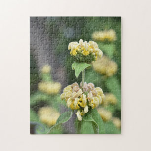 Yellow Flowers London Lush Garden England Puzzle