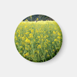 Yellow Flowers Magnet