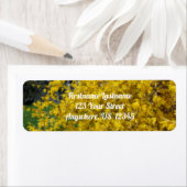 Yellow Forsythia Blume Orton Effect Address (Insitu)