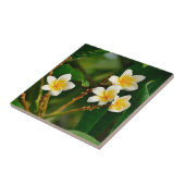 Yellow Frangipani Fliese (Seite)