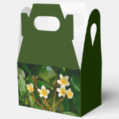 Yellow Frangipani Geschenkschachtel (Offen)