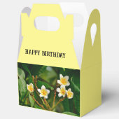 Yellow Frangipani Geschenkschachtel (Offen)