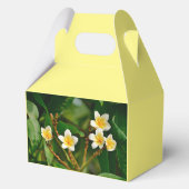 Yellow Frangipani Geschenkschachtel (Rückseite)