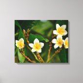 Yellow Frangipani Leinwanddruck (Vorderseite)