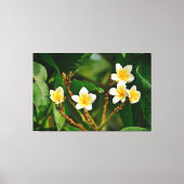 Yellow Frangipani Leinwanddruck (Vorderseite)