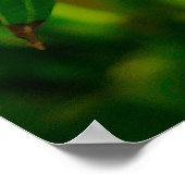 Yellow Frangipani Poster (Ecke)