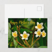 Yellow Frangipani Postkarte (Vorne/Hinten)