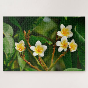 Yellow Frangipani Puzzle