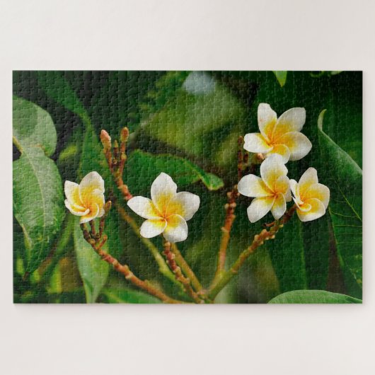 Yellow Frangipani Puzzle (Horizontal)