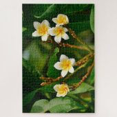 Yellow Frangipani Puzzle (Vertikal)