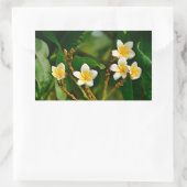 Yellow Frangipani Rechteckiger Aufkleber (Tasche)