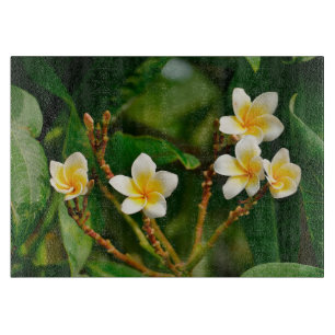 Yellow Frangipani Schneidebrett