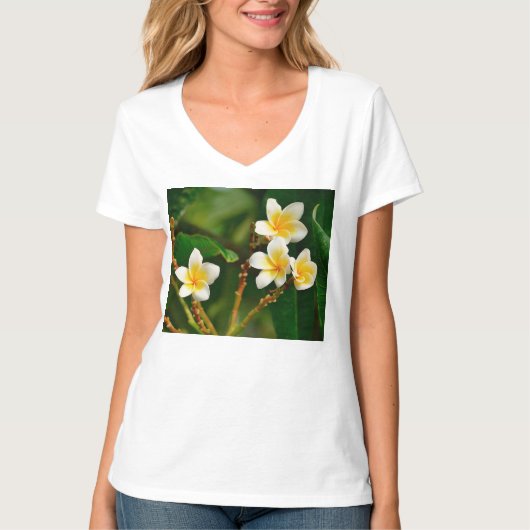 Yellow Frangipani T-Shirt (Vorderseite)