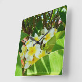 Yellow Frangipani Tree, Quadratische Wanduhr (Winkel)