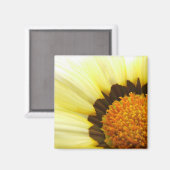 Yellow Gazania Magnet (Vorderseite/Rückseite)