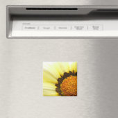 Yellow Gazania Magnet (In Situ (Geschirrspüler))