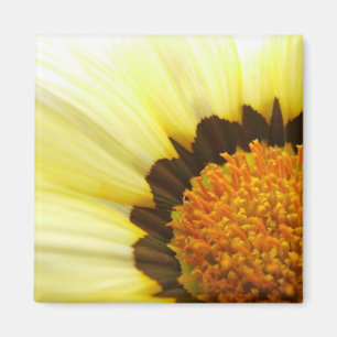 Yellow Gazania Magnet