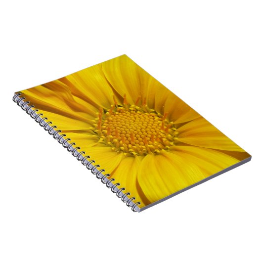 Yellow Gazania Notizblock (Rechte Seite)
