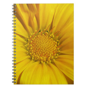 Yellow Gazania Notizblock