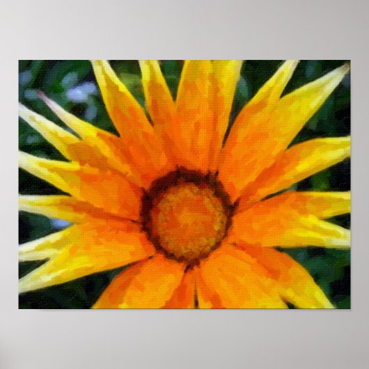 Yellow Gazania Poster (Vorne)