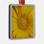 Yellow Gazania Silbernes Ornament (Rechts)