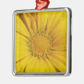 Yellow Gazania Silbernes Ornament (Links)