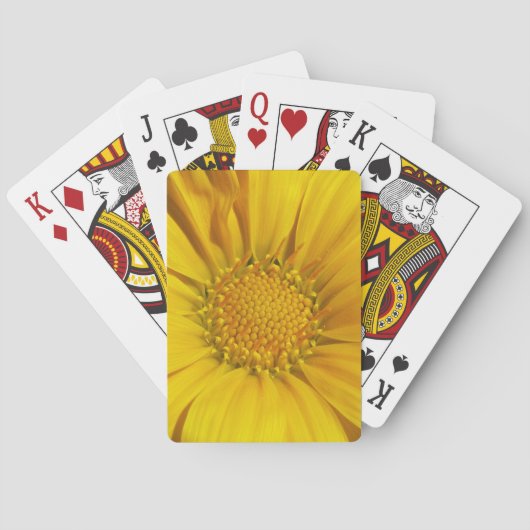 Yellow Gazania Spielkarten (Rückseite)