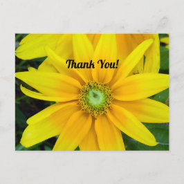 Yellow Gazania Vielen Dank Postcard Postkarte