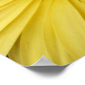 Yellow Gebera Daisies Poster (Ecke)