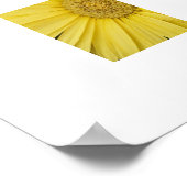 Yellow Gebera Daisies Poster (Ecke)