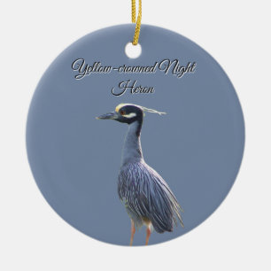 Yellow-gekrönter Nachtheron Keramik Ornament
