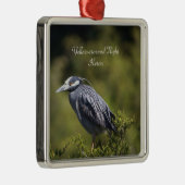 Yellow-gekrönter Nachtheron Ornament Aus Metall (Rechts)