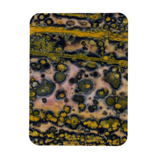 Yellow gepunktet Ocean Jasper Magnet (Vertikal)