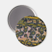 Yellow gepunktet Ocean Jasper Magnet (Vorderseite/Rückseite)