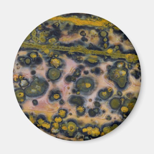 Yellow gepunktet Ocean Jasper Magnet (Vorne)