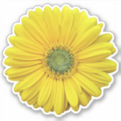 Yellow Gerber Daisy Blume Kiss-Cut Sticker (Vorderseite)