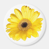 Yellow Gerber Daisy Blume Nah-Up Fotograf Magnet (Vorne)
