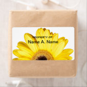 Yellow Gerber Daisy Nah Up Fotografie (Insitu)