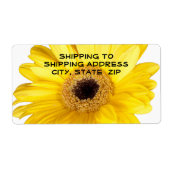 Yellow Gerber Daisy Nah Up Fotografie (Vorne)