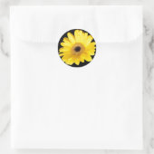 Yellow Gerber Daisy Nah Up Fotografie Runder Aufkleber (Tasche)