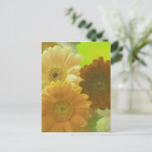 Yellow Gerbera Daisy Blume Foto Art Postkarte (Stehend Vorderseite)