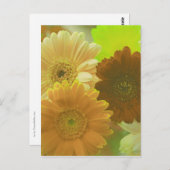Yellow Gerbera Daisy Blume Foto Art Postkarte (Vorne/Hinten)